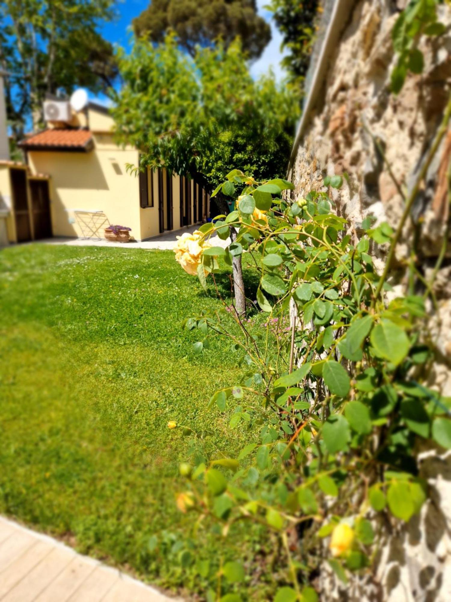 Serra Di Mare Casa Con Giardino Livorno Exterior foto